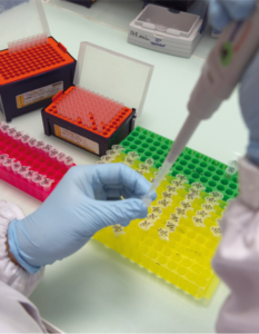 travail scientifique en laboratoire